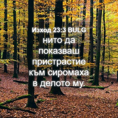 Picture 04 - Изход 23:3 BULG - нито да показваш - Bible Verse Picture