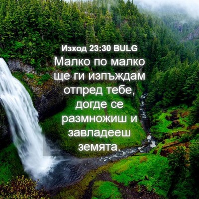 Picture 04 - Изход 23:30 BULG - Малко по малко ще ги - Bible Verse Picture