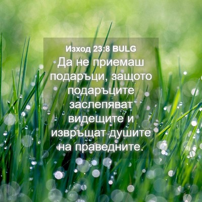 Picture 04 - Изход 23:8 BULG - Да не приемаш подаръци, - Bible Verse Picture