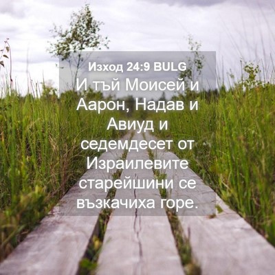 Picture 04 - Изход 24:9 BULG - И тъй Моисей и Аарон, Надав - Bible Verse Picture
