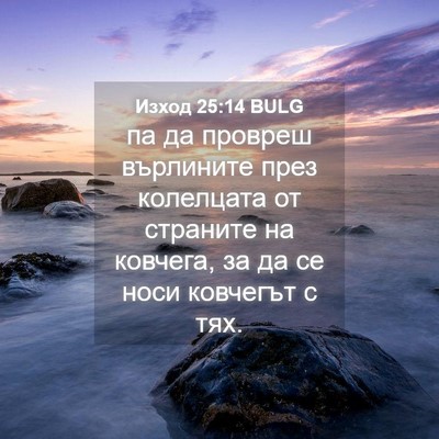 Picture 04 - Изход 25:14 BULG - па да провреш върлините - Bible Verse Picture
