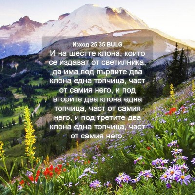 Picture 04 - Изход 25:35 BULG - И на шестте клона, които се - Bible Verse Picture