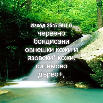 Picture 04 - Изход 25:5 BULG - червено боядисани овнешки - Bible Verse Picture