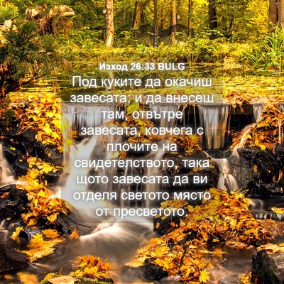 Picture 04 - Изход 26:33 BULG - Под куките да окачиш - Bible Verse Picture