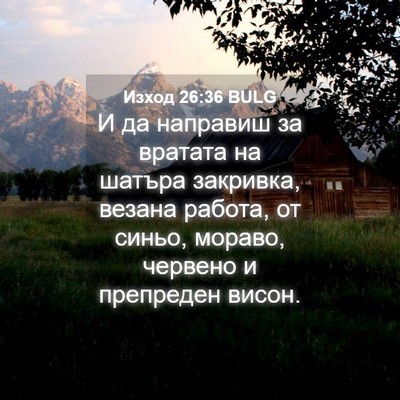 Picture 04 - Изход 26:36 BULG - И да направиш за вратата на - Bible Verse Picture