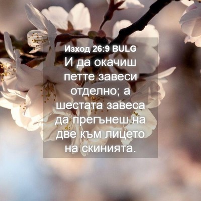 Picture 04 - Изход 26:9 BULG - И да окачиш петте завеси - Bible Verse Picture