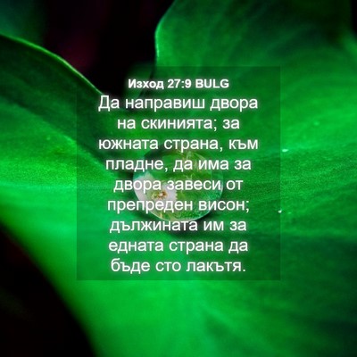 Picture 04 - Изход 27:9 BULG - Да направиш двора на - Bible Verse Picture