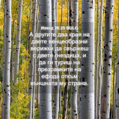 Picture 04 - Изход 28:25 BULG - А другите два края на двете - Bible Verse Picture