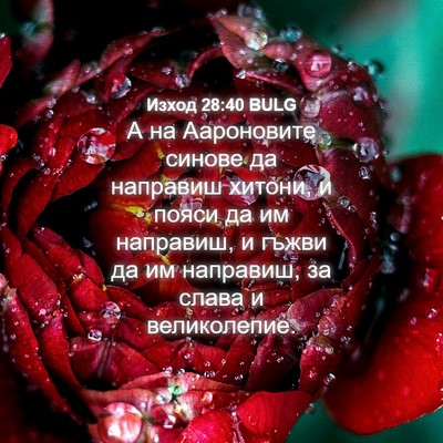 Picture 04 - Изход 28:40 BULG - А на Аароновите синове да - Bible Verse Picture