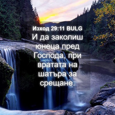 Picture 04 - Изход 29:11 BULG - И да заколиш юнеца пред - Bible Verse Picture
