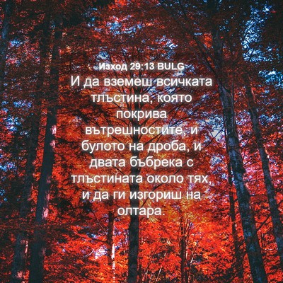 Picture 04 - Изход 29:13 BULG - И да вземеш всичката - Bible Verse Picture