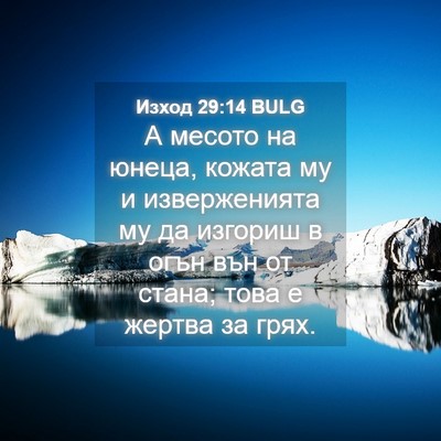 Picture 04 - Изход 29:14 BULG - А месото на юнеца, кожата - Bible Verse Picture