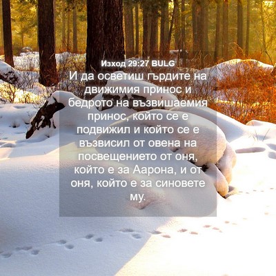 Picture 04 - Изход 29:27 BULG - И да осветиш гърдите на - Bible Verse Picture