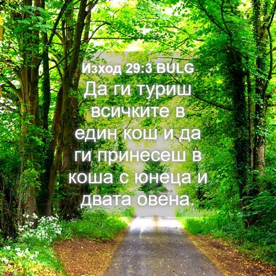 Picture 04 - Изход 29:3 BULG - Да ги туриш всичките в един - Bible Verse Picture