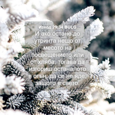 Picture 04 - Изход 29:34 BULG - И ако остане до утринта - Bible Verse Picture