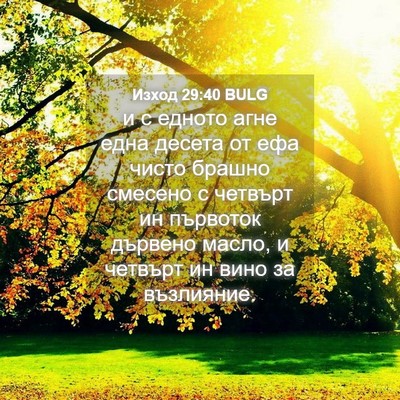 Picture 04 - Изход 29:40 BULG - и с едното агне една десета - Bible Verse Picture