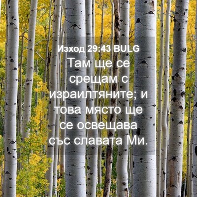 Picture 04 - Изход 29:43 BULG - Там ще се срещам с - Bible Verse Picture