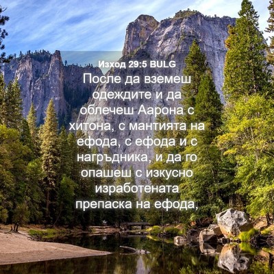 Picture 04 - Изход 29:5 BULG - После да вземеш одеждите и - Bible Verse Picture