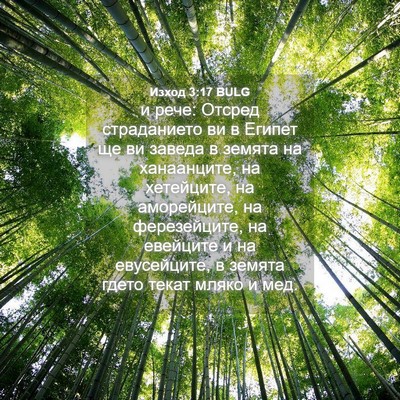 Picture 04 - Изход 3:17 BULG - и рече: Отсред страданието - Bible Verse Picture