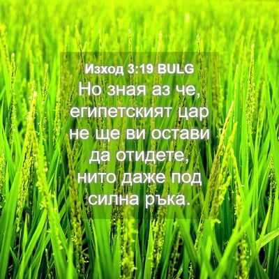 Picture 04 - Изход 3:19 BULG - Но зная аз че, египетският - Bible Verse Picture
