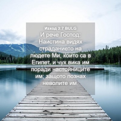 Picture 04 - Изход 3:7 BULG - И рече Господ: Наистина - Bible Verse Picture