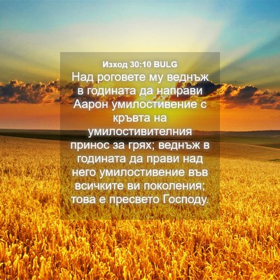Picture 04 - Изход 30:10 BULG - Над роговете му веднъж в - Bible Verse Picture