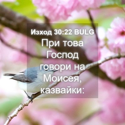 Picture 04 - Изход 30:22 BULG - При това Господ говори на - Bible Verse Picture