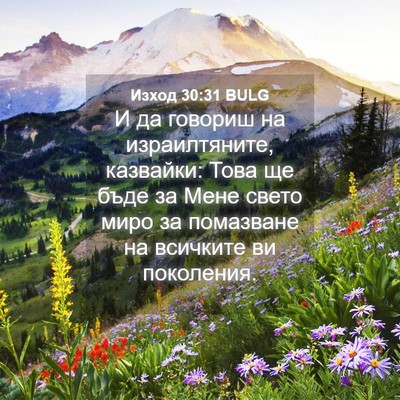 Picture 04 - Изход 30:31 BULG - И да говориш на - Bible Verse Picture
