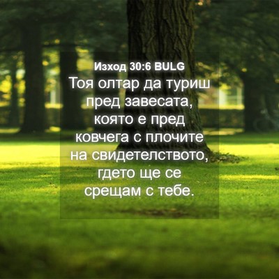 Picture 04 - Изход 30:6 BULG - Тоя олтар да туриш пред - Bible Verse Picture