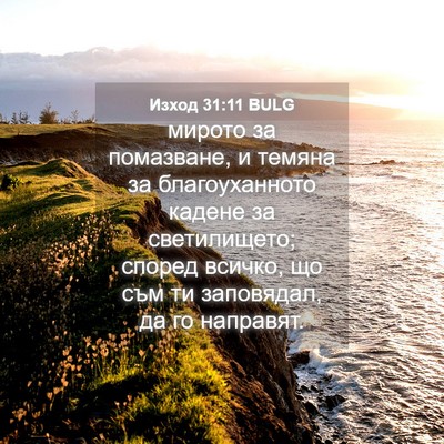 Picture 04 - Изход 31:11 BULG - мирото за помазване, и - Bible Verse Picture