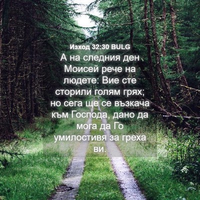 Picture 04 - Изход 32:30 BULG - А на следния ден Моисей - Bible Verse Picture
