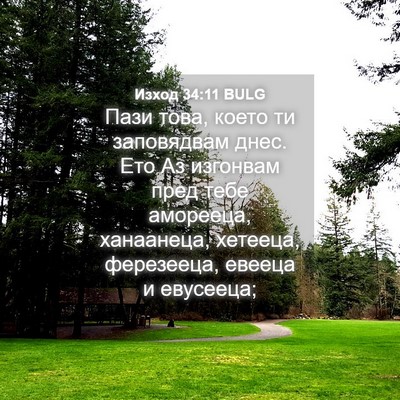 Picture 04 - Изход 34:11 BULG - Пази това, което ти - Bible Verse Picture