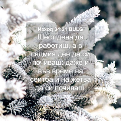 Picture 04 - Изход 34:21 BULG - Шест дена да работиш, а в - Bible Verse Picture