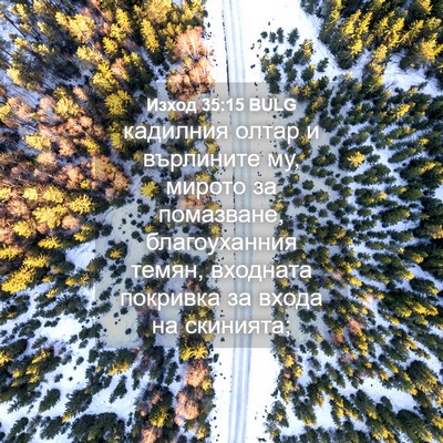 Picture 04 - Изход 35:15 BULG - кадилния олтар и върлините - Bible Verse Picture