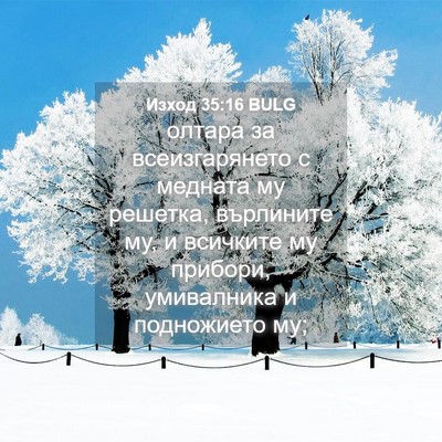 Picture 04 - Изход 35:16 BULG - олтара за всеизгарянето с - Bible Verse Picture