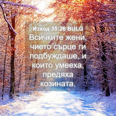 Picture 04 - Изход 35:26 BULG - Всичките жени, чието сърце - Bible Verse Picture