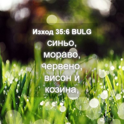 Picture 04 - Изход 35:6 BULG - синьо, мораво, червено, - Bible Verse Picture
