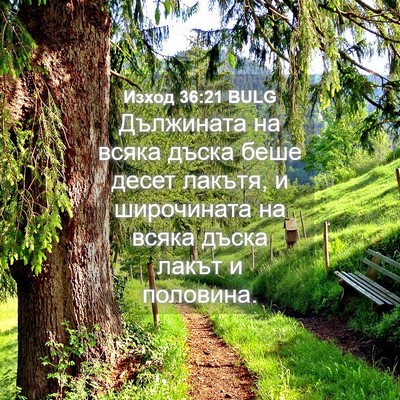Picture 04 - Изход 36:21 BULG - Дължината на всяка дъска - Bible Verse Picture