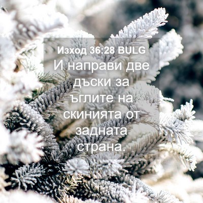 Picture 04 - Изход 36:28 BULG - И направи две дъски за - Bible Verse Picture