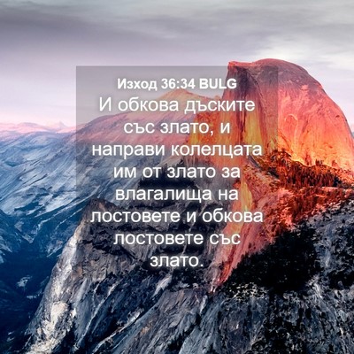Picture 04 - Изход 36:34 BULG - И обкова дъските със злато, - Bible Verse Picture