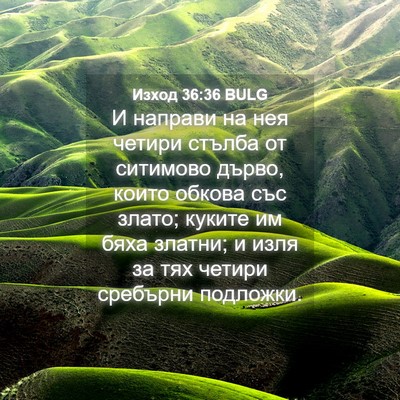 Picture 04 - Изход 36:36 BULG - И направи на нея четири - Bible Verse Picture