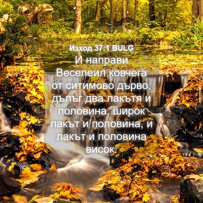 Picture 04 - Изход 37:1 BULG - И направи Веселеил ковчега - Bible Verse Picture