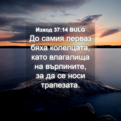 Picture 04 - Изход 37:14 BULG - До самия перваз бяха - Bible Verse Picture