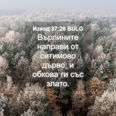 Picture 04 - Изход 37:28 BULG - Върлините направи от - Bible Verse Picture