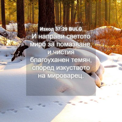 Picture 04 - Изход 37:29 BULG - И направи светото миро за - Bible Verse Picture