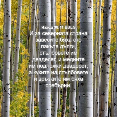 Picture 04 - Изход 38:11 BULG - И за северната страна - Bible Verse Picture