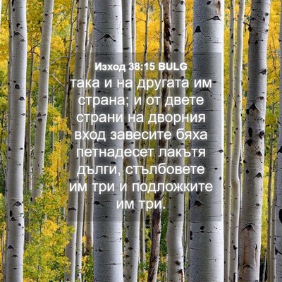 Picture 04 - Изход 38:15 BULG - така и на другата им - Bible Verse Picture