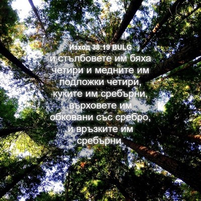 Picture 04 - Изход 38:19 BULG - и стълбовете им бяха - Bible Verse Picture