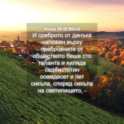 Picture 04 - Изход 38:25 BULG - И среброто от данъка - Bible Verse Picture