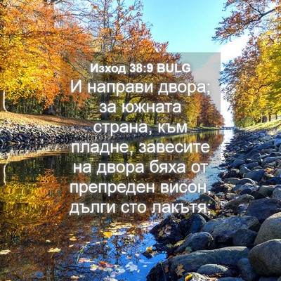 Picture 04 - Изход 38:9 BULG - И направи двора; за южната - Bible Verse Picture